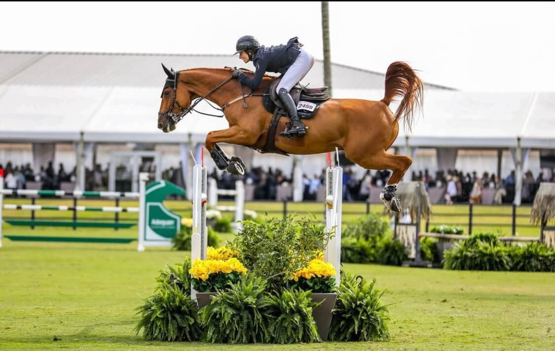 Newton van het krekelhof (diamant x PKZ Contact van Heffink)