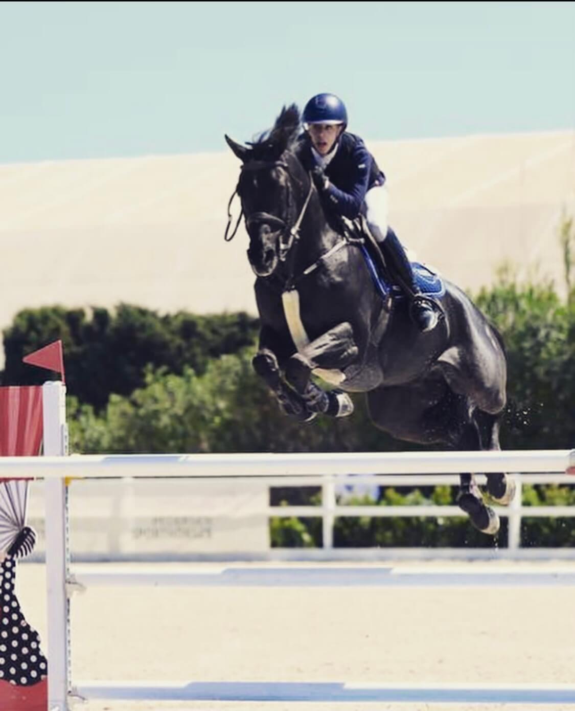 Galerius (Diamant x Sandro Boy)