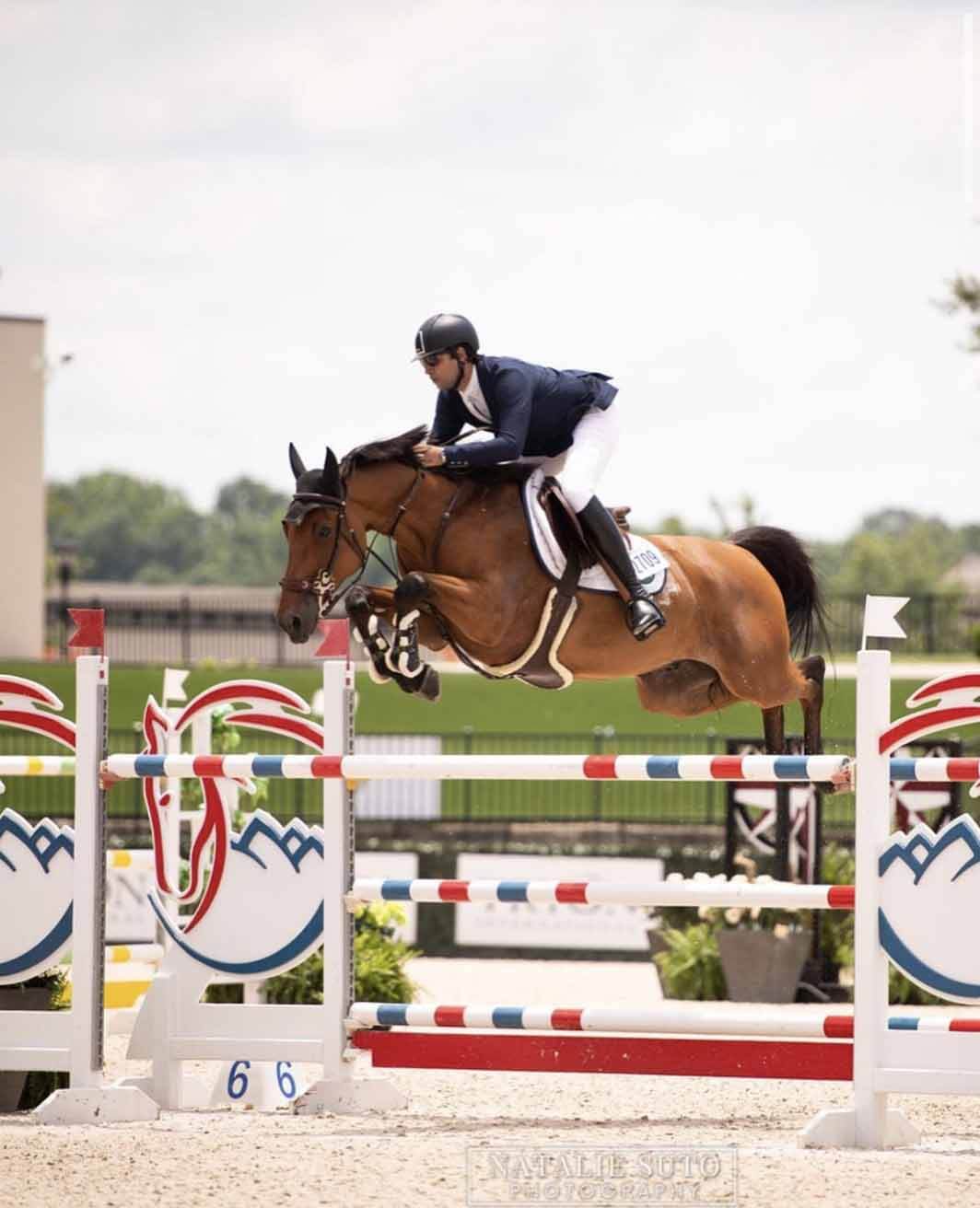 HFG Quaman (Diamant x Quidam’s Rubin) (1)
