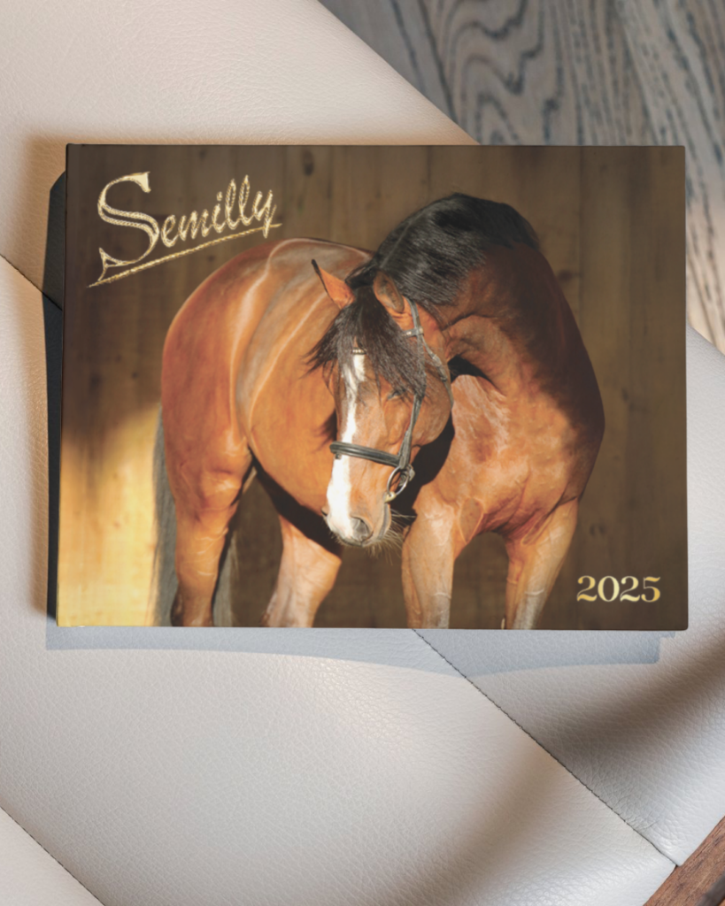 LE CATALOGUE 2025 EST EN LIGNE !