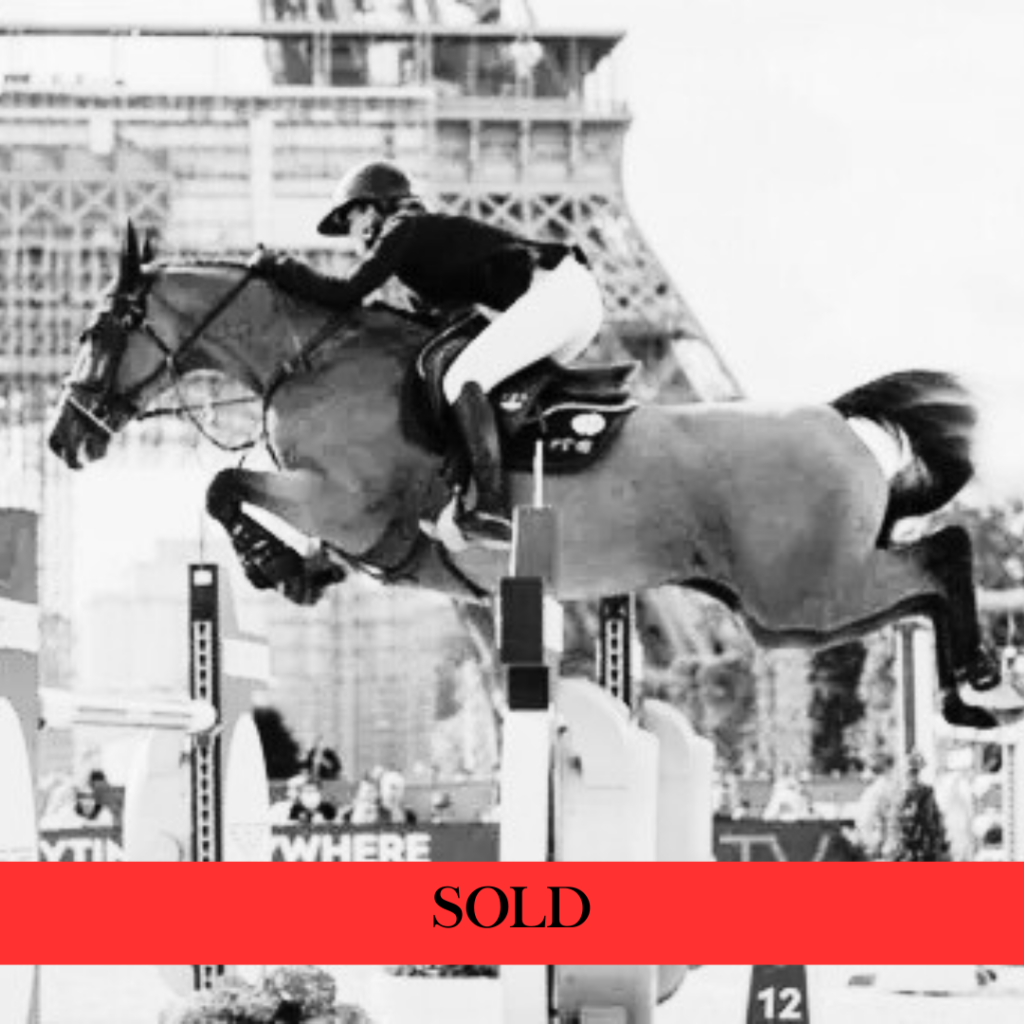 FOXTROT SEMILLY (ex. DON'T STOP SEMILLY)